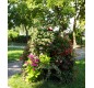 Jardinière pour les collectivités