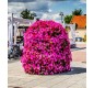aménagement floral pour mairies