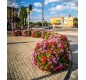 jardiniere urbaine