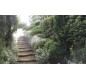Brumisateur antimoustiques pour jardins publics, Brumisateur anti-moustiques pour centres commerciaux