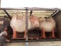 Structure de jeux "le mouton blanc et son portique-balançoire"
