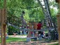 Le parcours accrobranches en bois de robinier