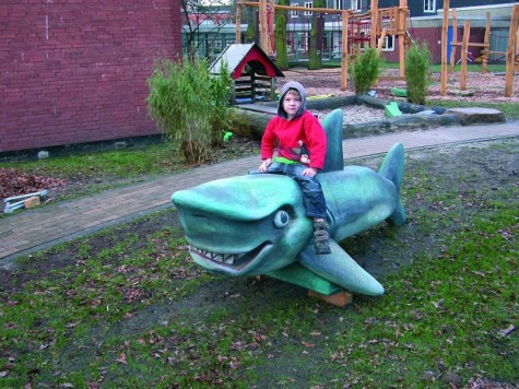Requin en bois de robinier peint