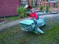 Requin en bois de robinier peint