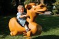Dromadaire 3D jeu sur ressort