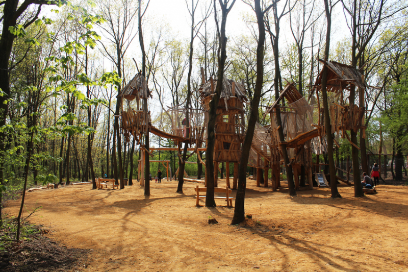 Château suspendu en bois de robinier