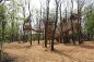 Château suspendu dans les bois