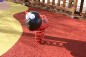 Coccinelle jeu sur ressort