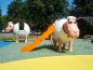 Structure de jeux "le mouton blanc et son portique-balançoire"