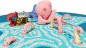 Le poulpe géant